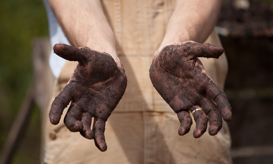 getting our hands messy in the compost