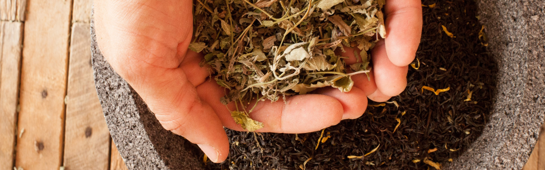 a Tea fan holding a handful of dried catnip to Blend into Monks Meditation Artisan Loose Tea