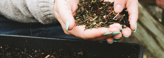 Hands full of Piper & Leaf loose leaf tea