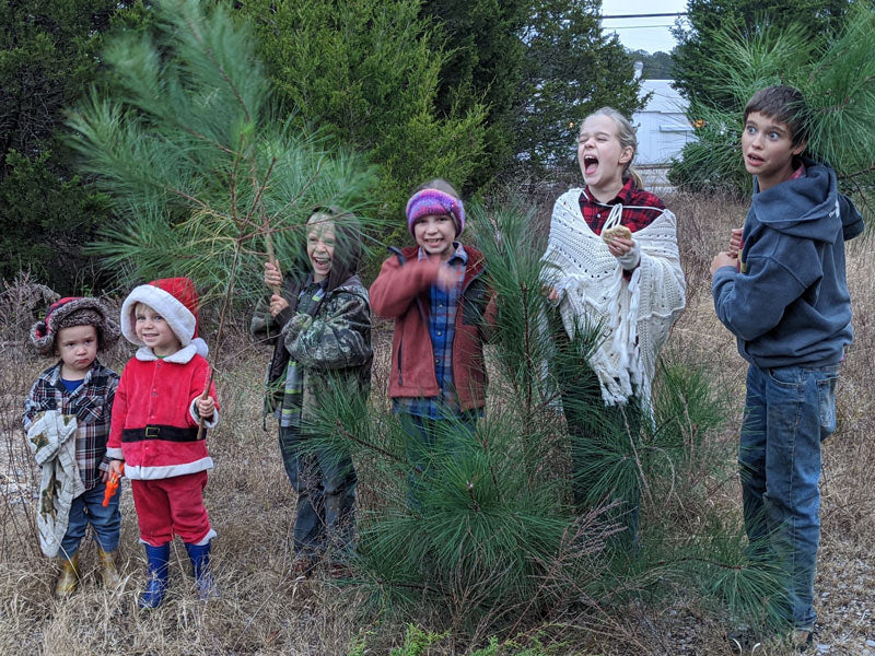 Sign Up for a Christmas Card!
