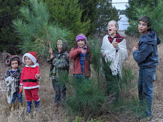Sign Up for a Christmas Card!