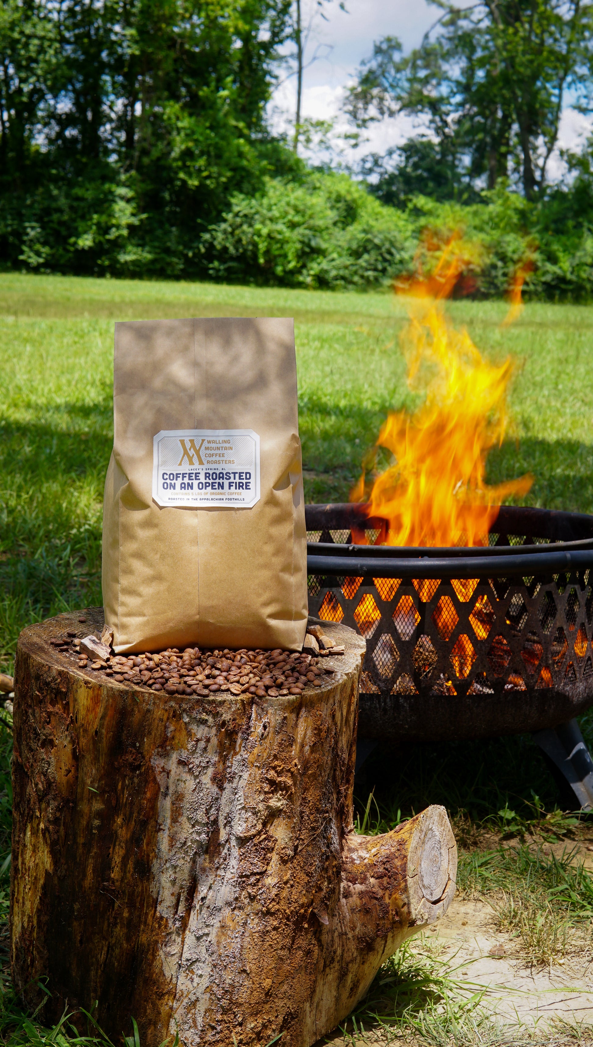 A 5lb Bag of Coffee Roasted on an Open Fire by Walling Mtn. Coffee rests on a bean-covered tree stump, with a glowing fire pit and lush grass and trees in the background.