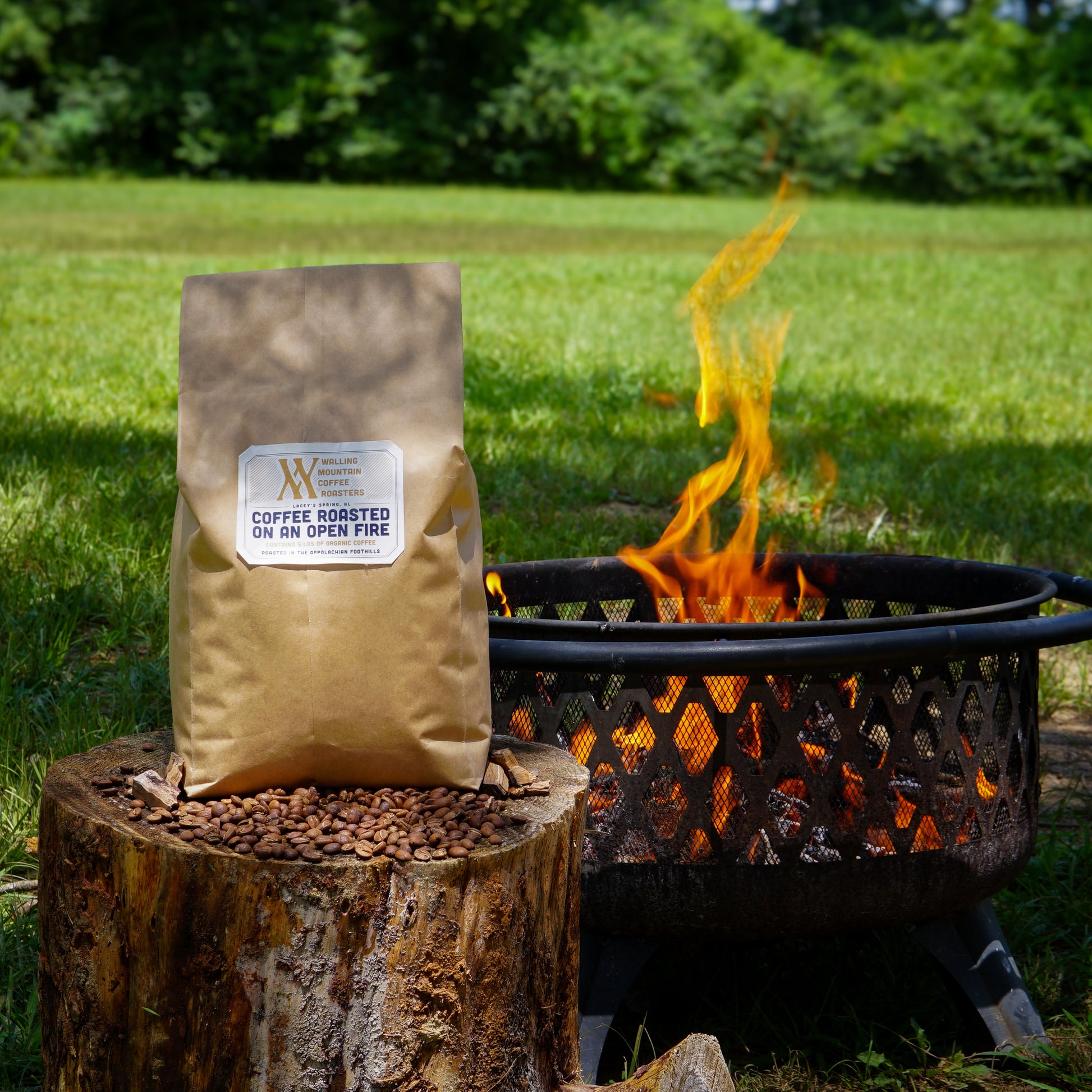 A 5lb Bag of Coffee Roasted on an Open Fire by Walling Mtn. Coffee sits on a tree stump with beans near a fire pit in a grassy outdoor setting—the perfect choice for small batch coffee fans.
