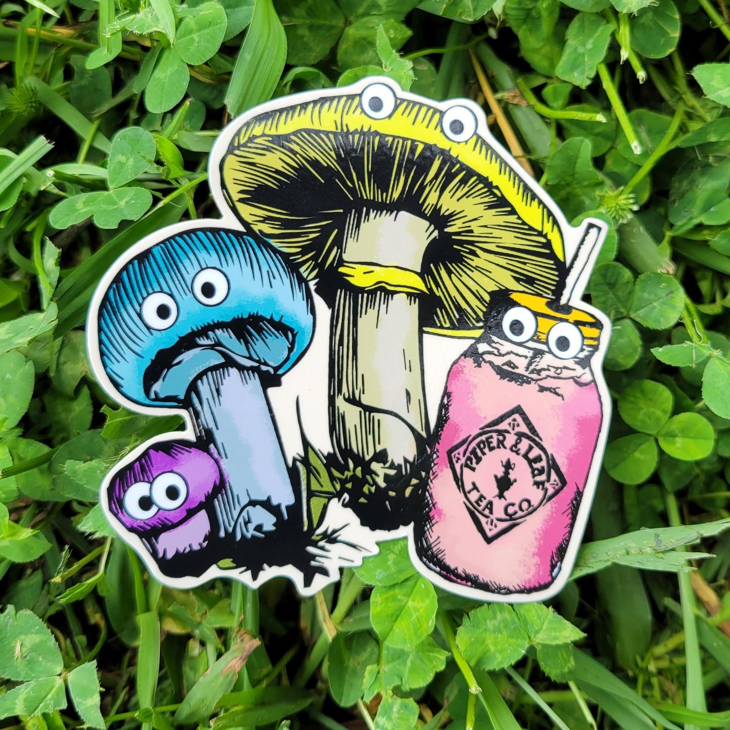 fungi(s) resting on a bed of clover