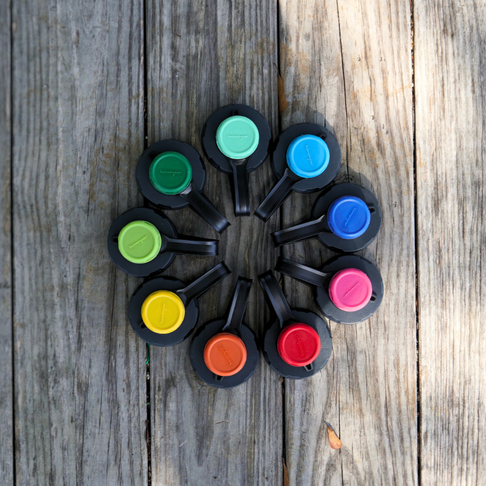 A circular arrangement of eight vibrant, BPA-free plastic clips sits on a wooden surface, echoing the secure design of the Nalgene capCap Lid by Piper & Leaf Tea Co.