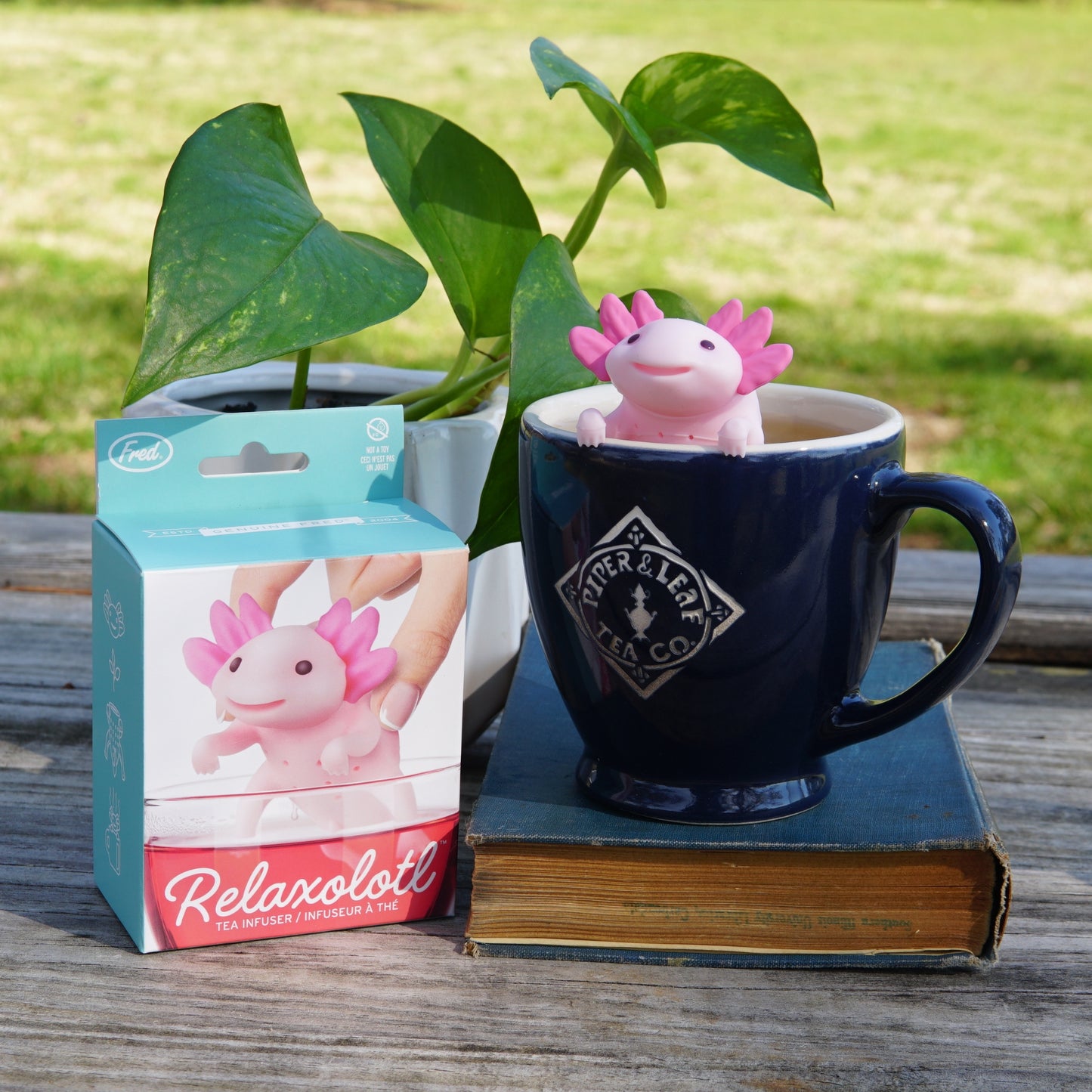 A pink Relaxolotl-Tea Infuser by Piper & Leaf Tea Co., perfect for tea enthusiasts, rests in a mug on a wooden table beside a plant and a box labeled "Relaxolotl.