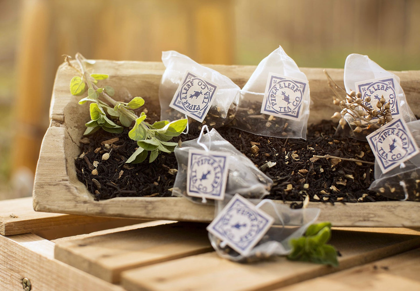A Piper & Leaf Tea Co. light wooden box with Sunrise Chai Bulk Sachets - 70ct Tea Bags in it on a wooden table.