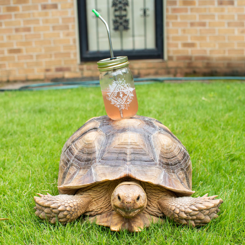Christmas Pint Jar