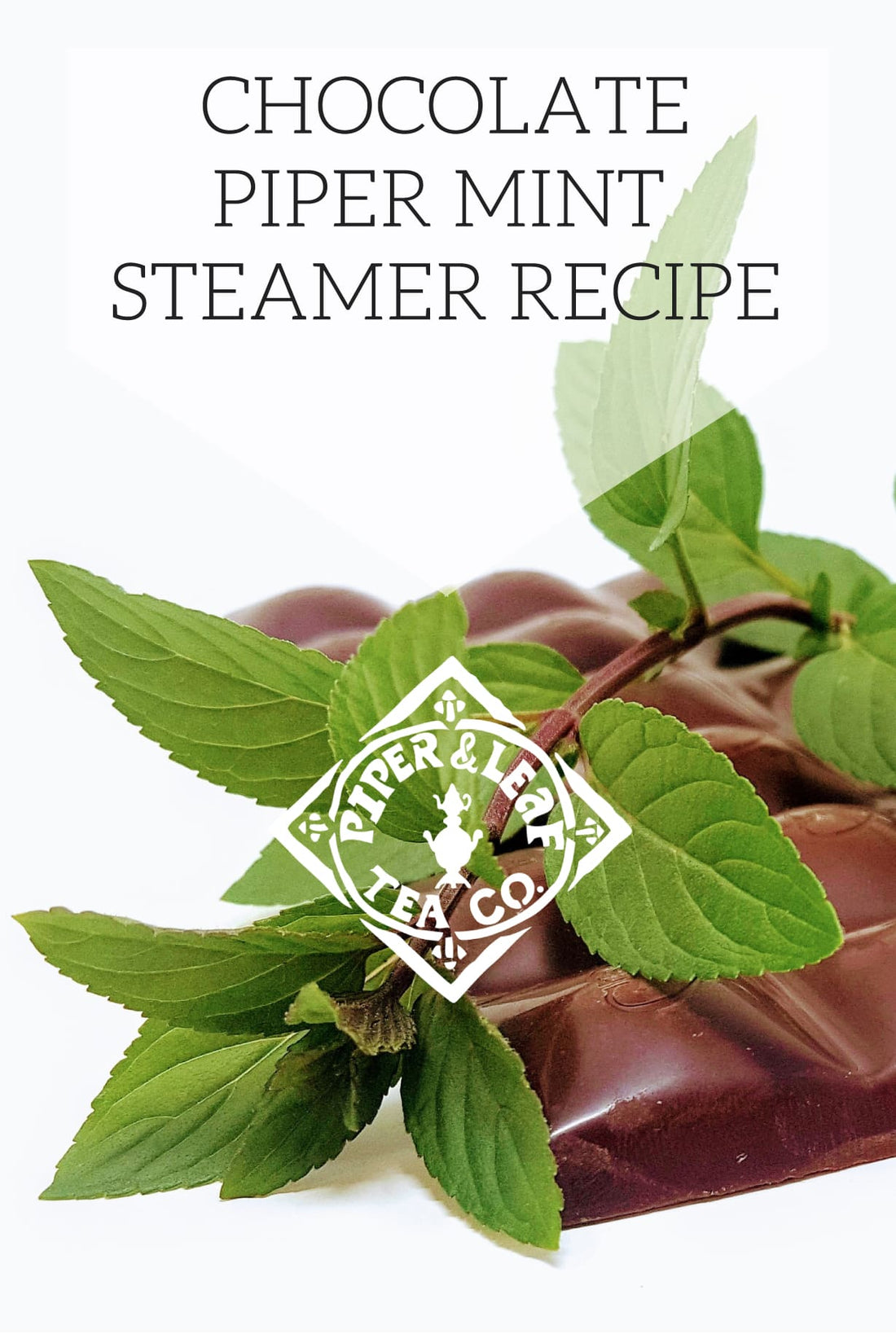 Chocolate Piper Mint Steamer Recipe