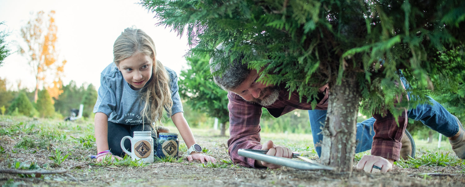 The Twelve Days of Christmas: Our Family Traditions and the Meaning of Epiphany