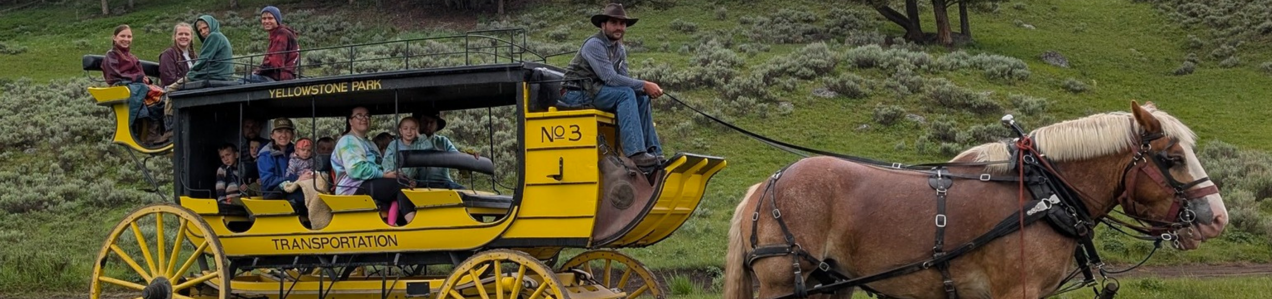 Westward Ho! Mammoth & Stagecoaches! (Days 25-26) – Piper and Leaf Tea Co.