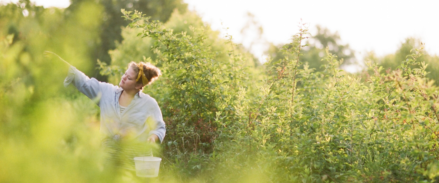 Our Family Traditions: Easter