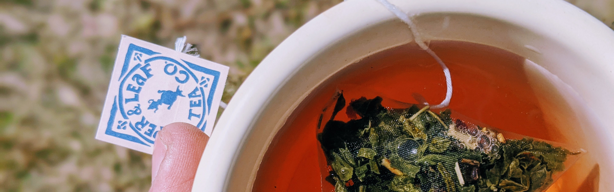 Green Tea vs. Matcha: What's the Difference? – Piper and Leaf Tea Co.