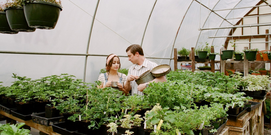 couple in a greenhouse looking at fresh ingredients