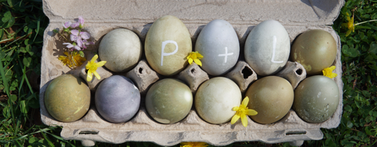This is a carton of DIY Piper and Leaf tea-dyed Easter Eggs