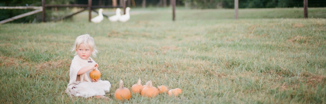 Stories Behind the Blend: Pumpkin Moonshine