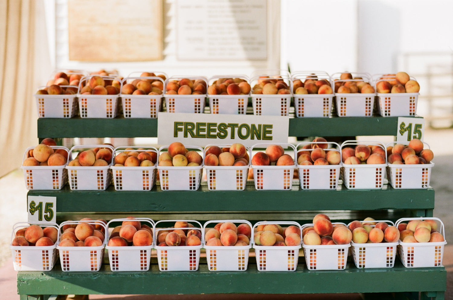 Plastic baskets filled with freestone peaches are displayed on green shelves at a market stand, with price signs reading "$15".