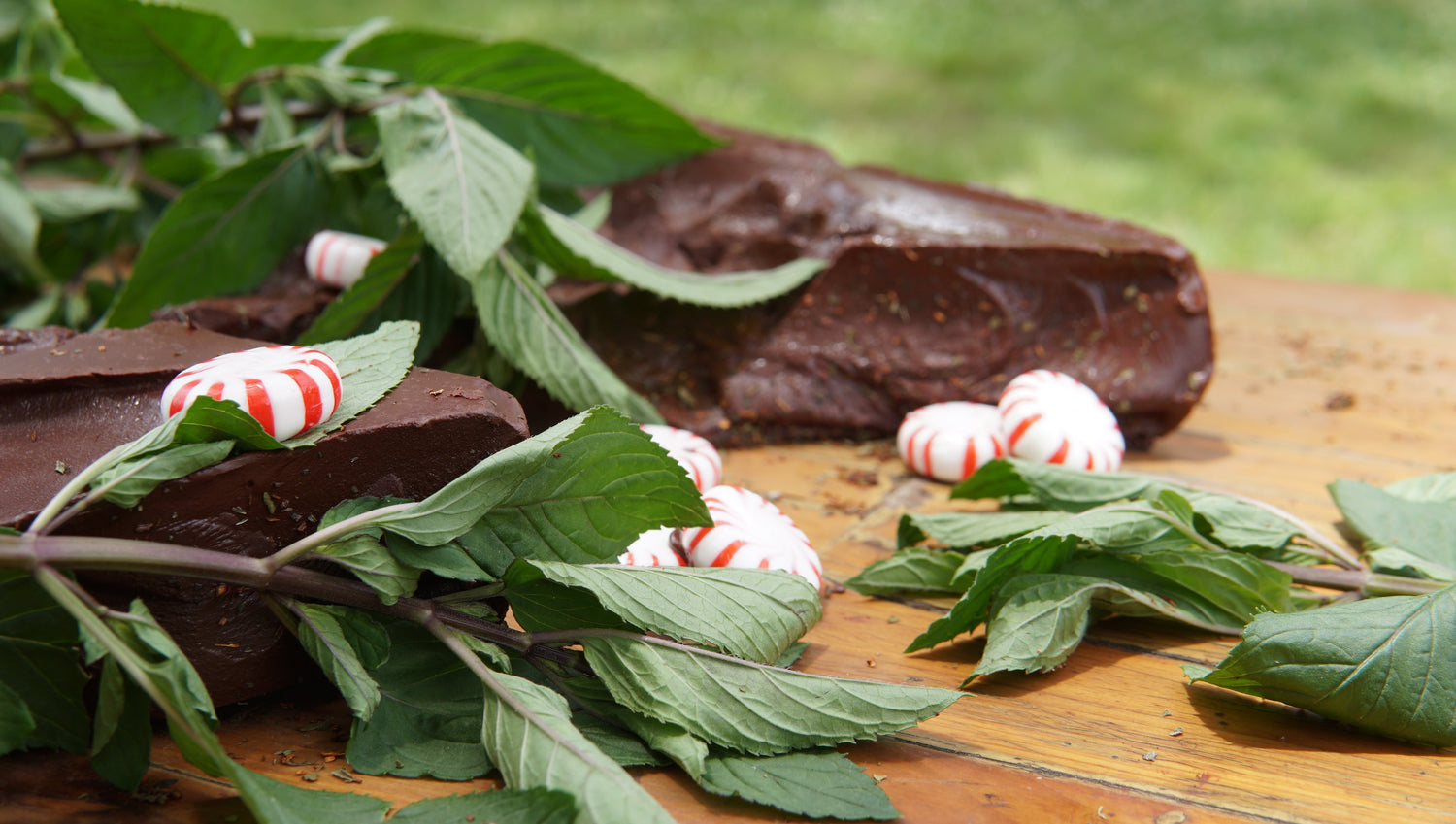 Chocolate pieces, fresh mint leaves, and round red-and-white peppermint candies are arranged on a wooden surface outdoors.