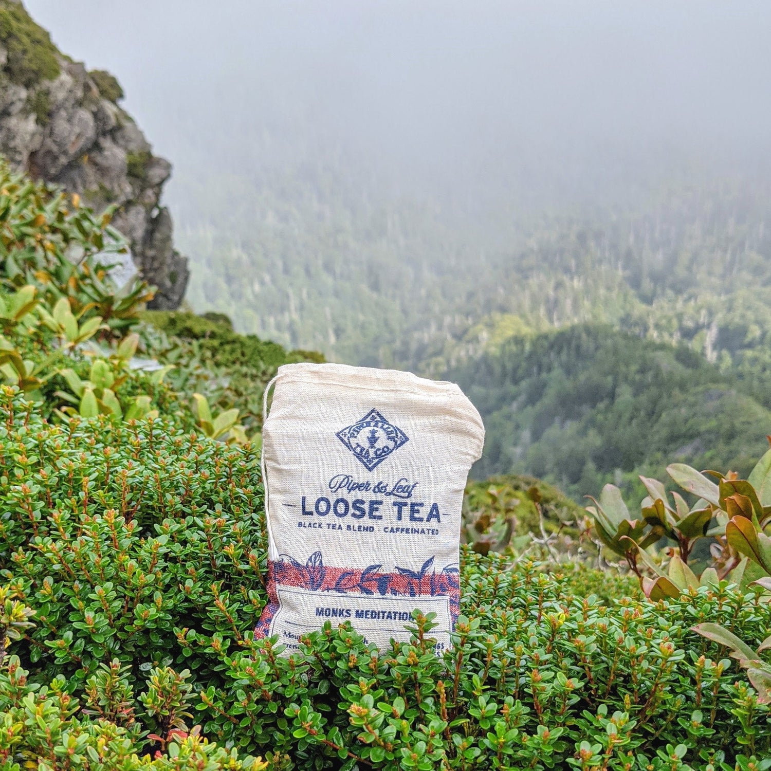 A bag of tea in a bush.