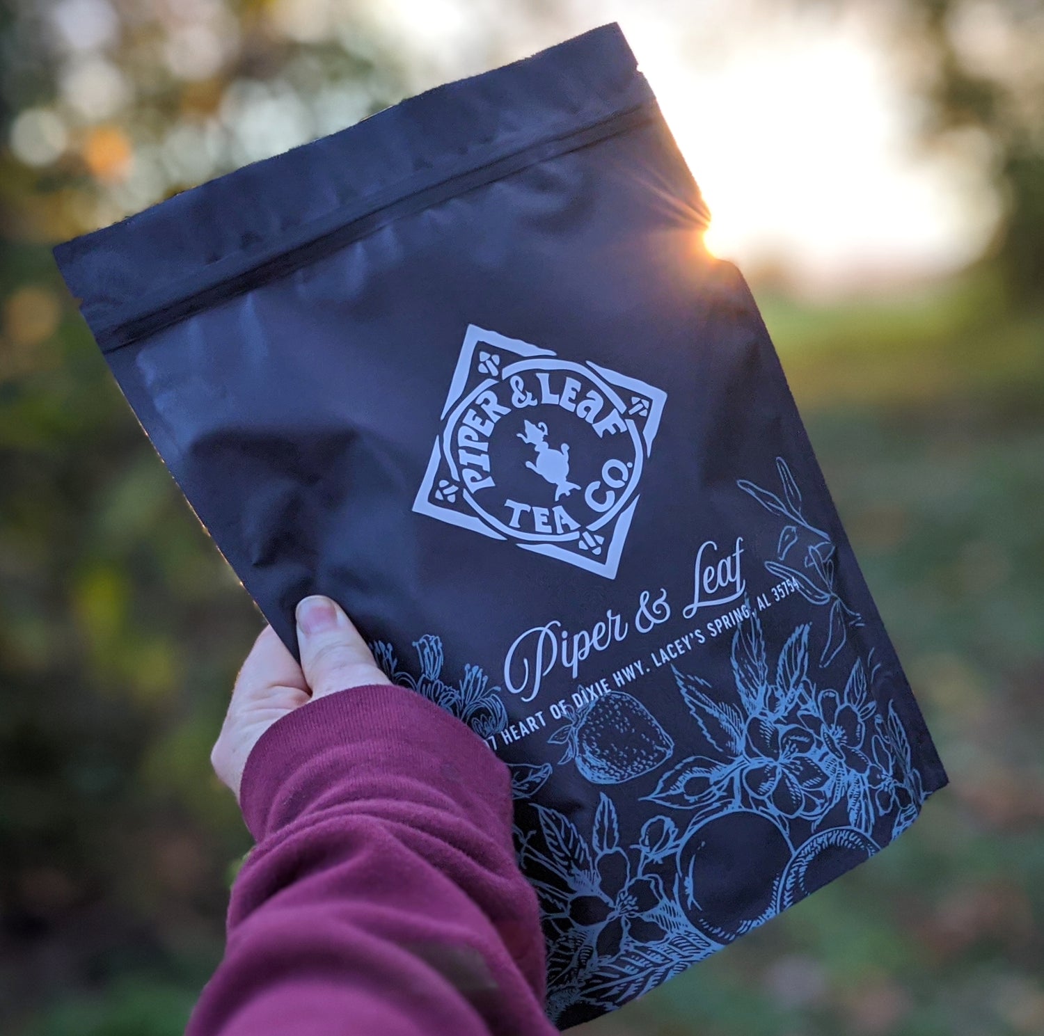 A hand holding a black bag of Piper & Leaf Tea Co. tea outdoors with a blurred natural background and sunlight.