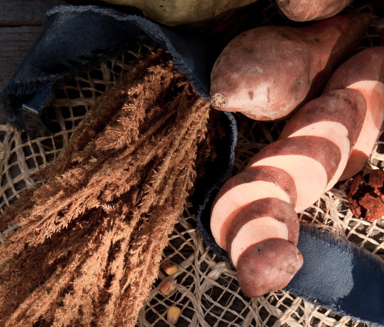 A striped sweet potato with alternating bands of skin and flesh lies next to other sweet potatoes, dried plant material, and a piece of blue fabric on a netted surface.
