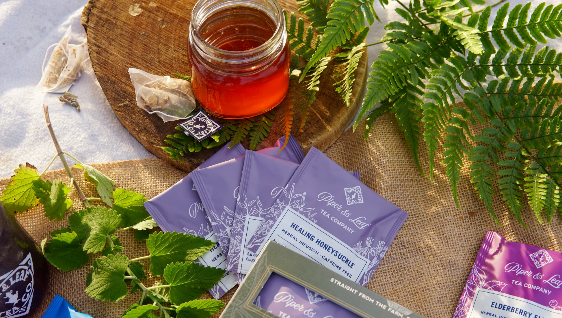 A jar of honey and the Piper & Leaf Tea Co. Wellness Tea Sampler—box of 16 tea bags—are displayed on a cloth with green leaves and ferns.