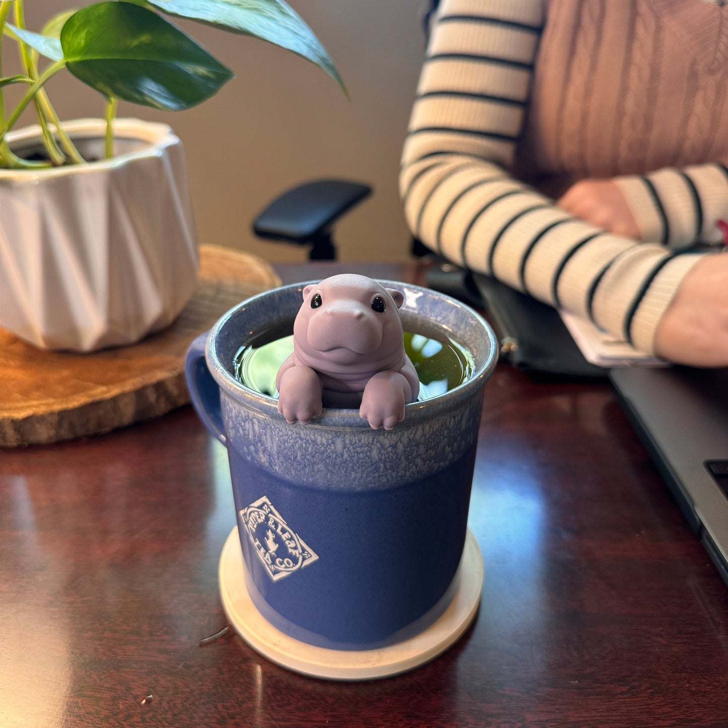The Sip'Opotamus Infuser by Piper & Leaf Tea Co., a small BPA-free hippo-shaped tea infuser, sits in a blue mug on a wooden desk beside a potted plant and someone working on a laptop.