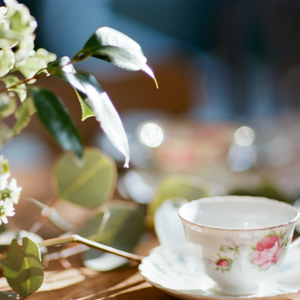 Close-up of a delicate Springtime Afternoon Tea Party teacup with floral patterns on a saucer, surrounded by soft-focus greenery at the Constitution Park event, with warm sunlight illuminating the scene by Piper and Leaf Tea Co.