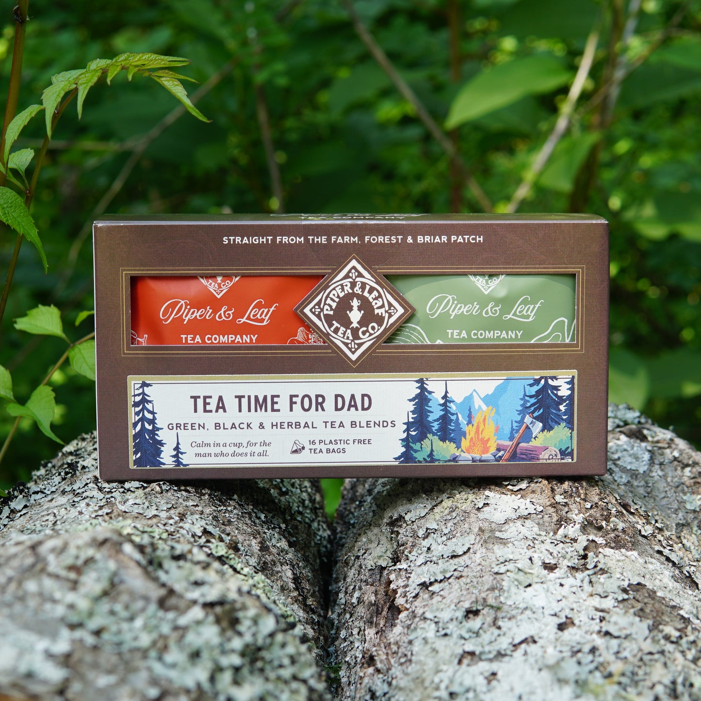 A “Tea Time For Dad” box of 16 individually wrapped tea bags from Piper & Leaf Tea Co. sits outdoors on a tree trunk amid lush greenery, making it the perfect Father’s Day tea gift.