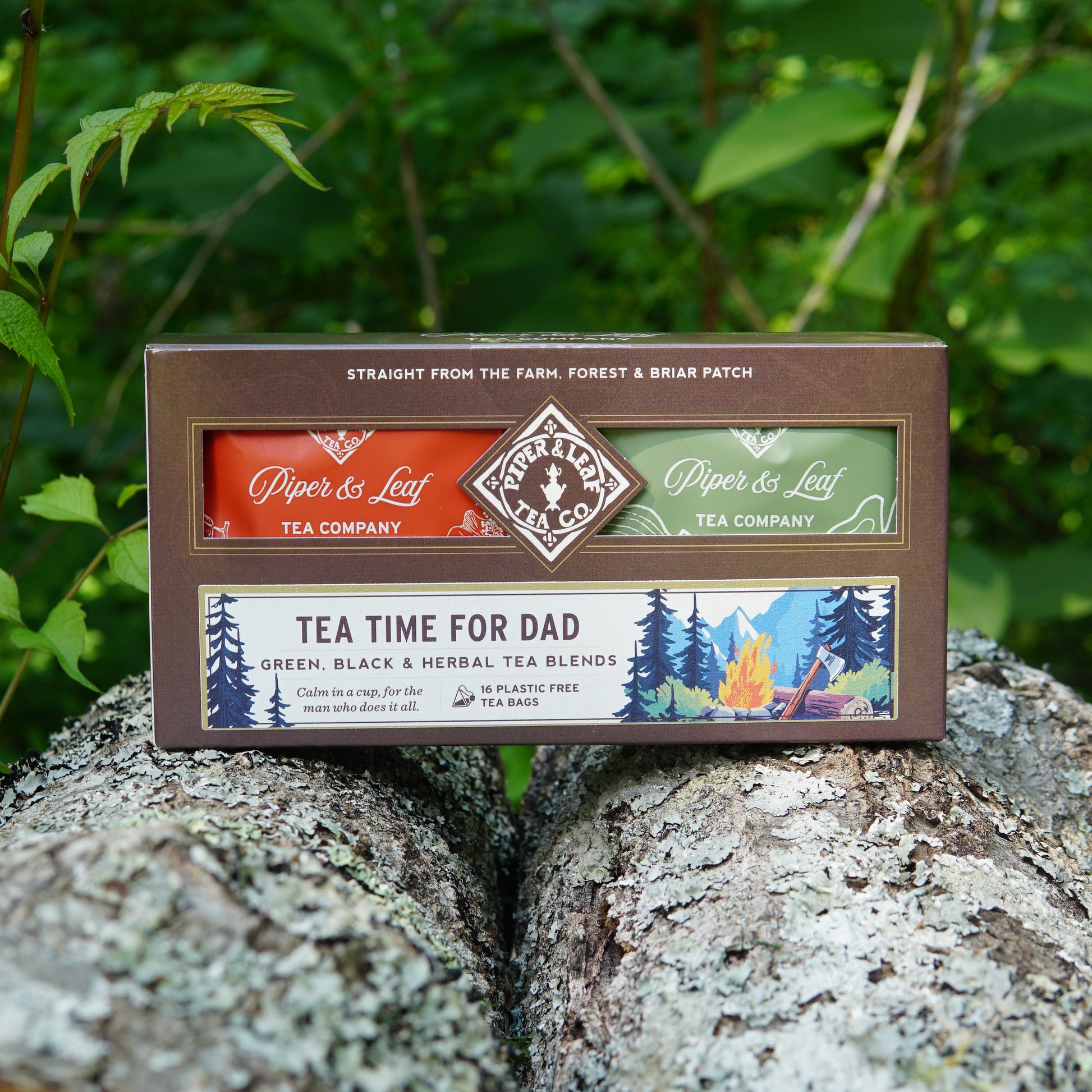 A “Tea Time For Dad” box of 16 individually wrapped tea bags from Piper & Leaf Tea Co. sits outdoors on a tree trunk amid lush greenery, making it the perfect Father’s Day tea gift.