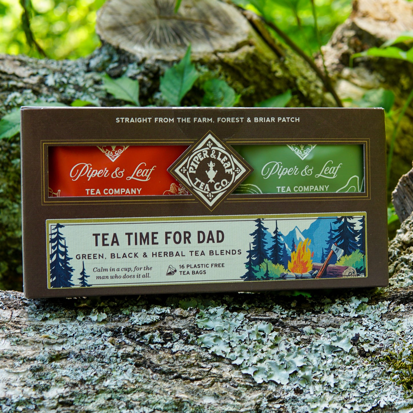 A "Tea Time For Dad" box from Piper & Leaf Tea Co., featuring 16 individually wrapped tea bags, sits on a mossy tree trunk—the perfect Father’s Day gift for any tea-loving dad.