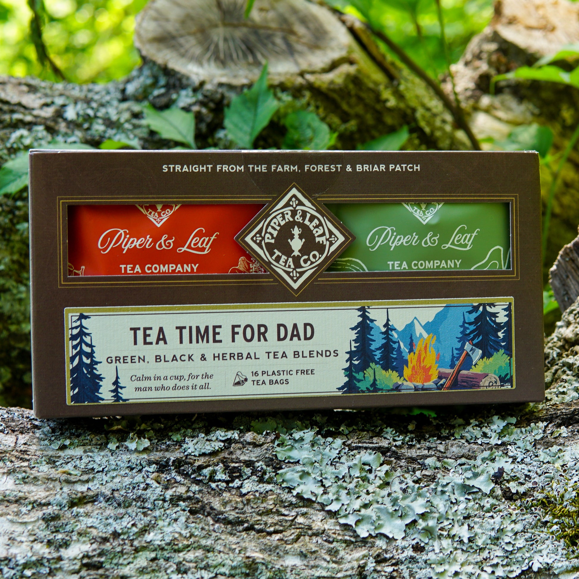 A "Tea Time For Dad" box from Piper & Leaf Tea Co., featuring 16 individually wrapped tea bags, sits on a mossy tree trunk—the perfect Father’s Day gift for any tea-loving dad.