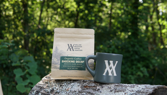 A 12oz Bag of Decaf Coffee — Walling Mtn. and a matching mug rest on a tree trunk, with the forest in the background.