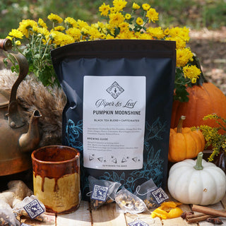 Pumpkin Moonshine Bulk Sachets - 70ct Tea Bags