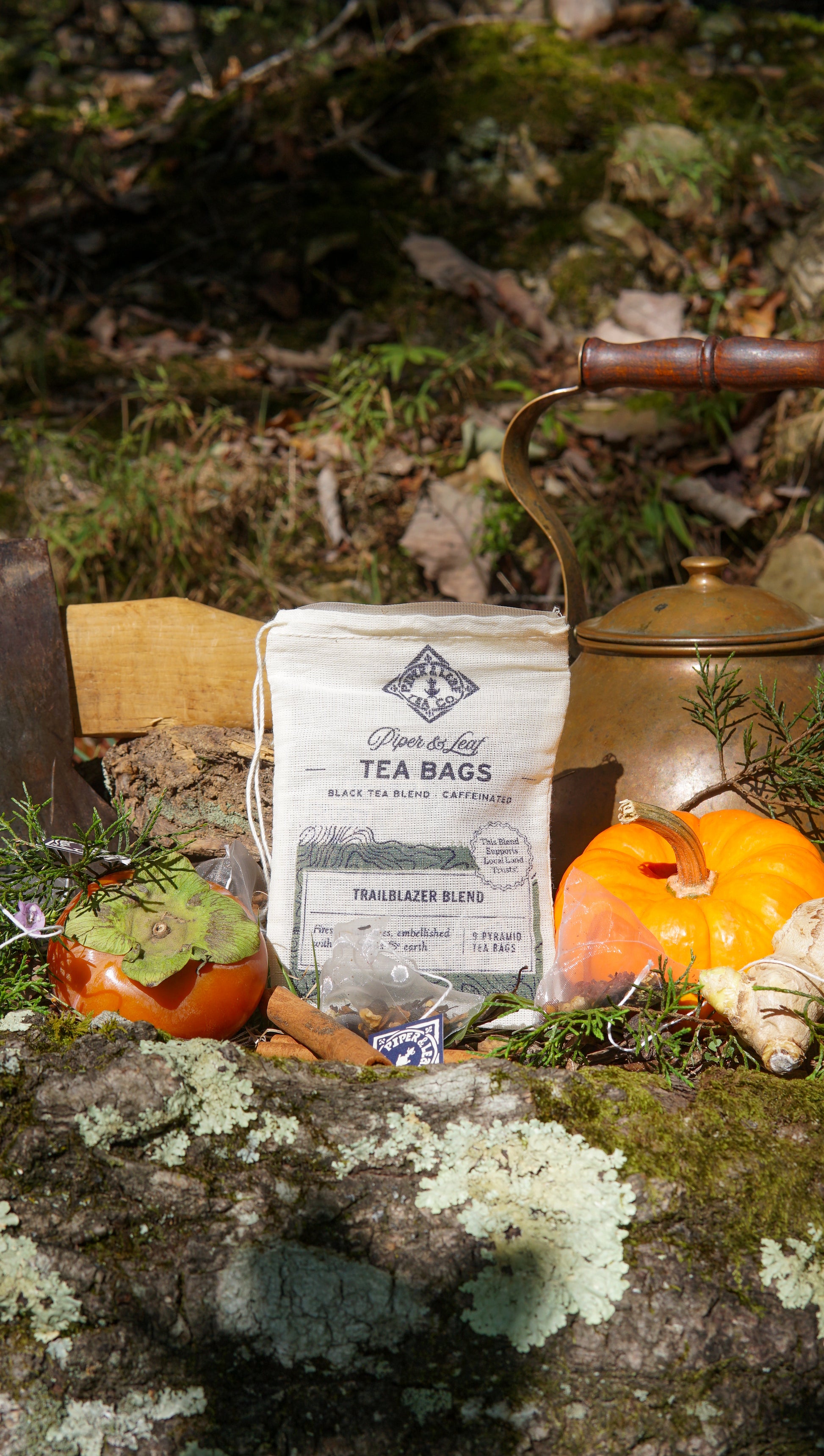 A pack of Piper & Leaf Tea Co. Trailblazer Blend 9ct tea bags in muslin, a glass teapot, pumpkin, persimmon, ginger, cinnamon sticks, and a hatchet are artfully arranged on a mossy rock outdoors.