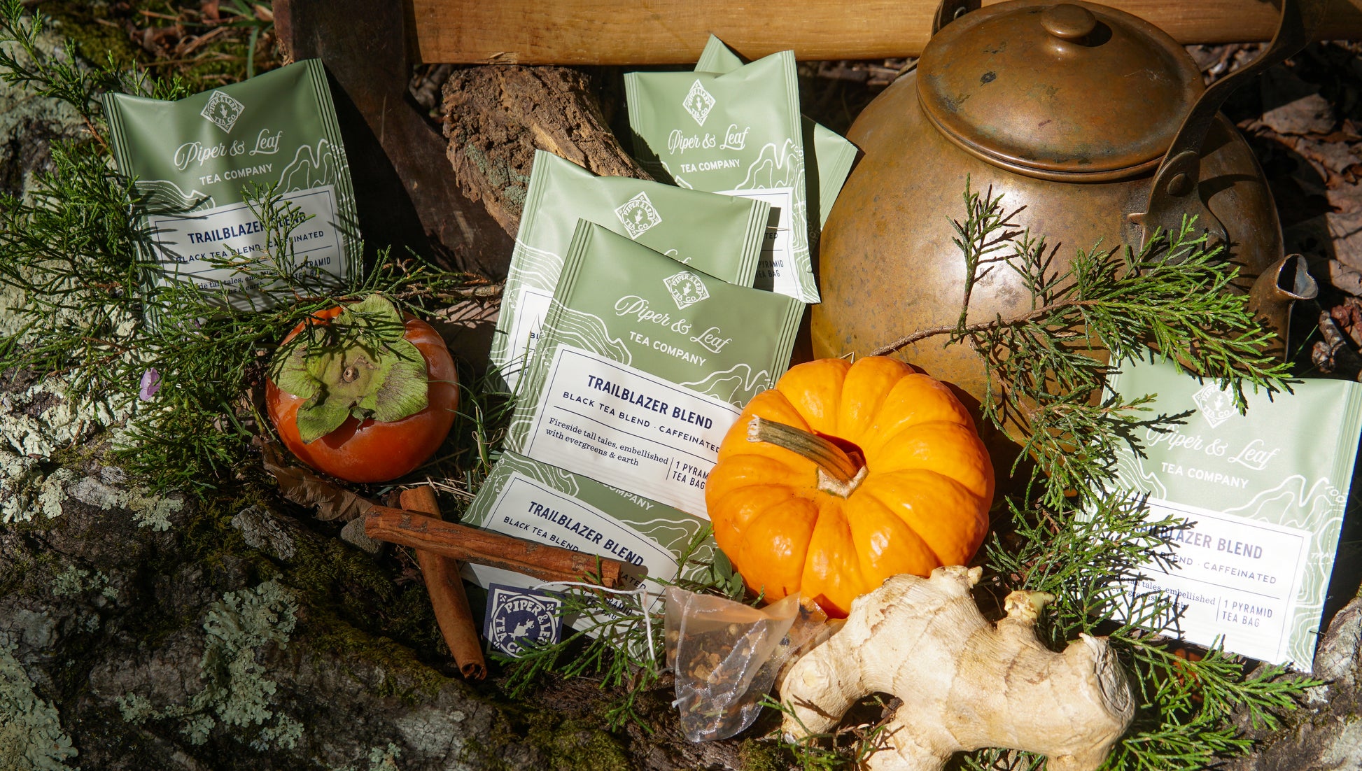 A Piper & Leaf Tea Co. Trailblazer Blend Case (50 individually wrapped tea bags) sits among a persimmon, small pumpkin, ginger root, leaves, branches, and a brass teapot on a rustic outdoor surface.