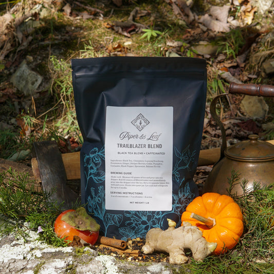 A Piper & Leaf Tea Co. Trailblazer Blend Pound Bag (190 servings) is displayed outdoors on rocks with an axe, brass kettle, orange pumpkin, ginger root, and apple among greenery.