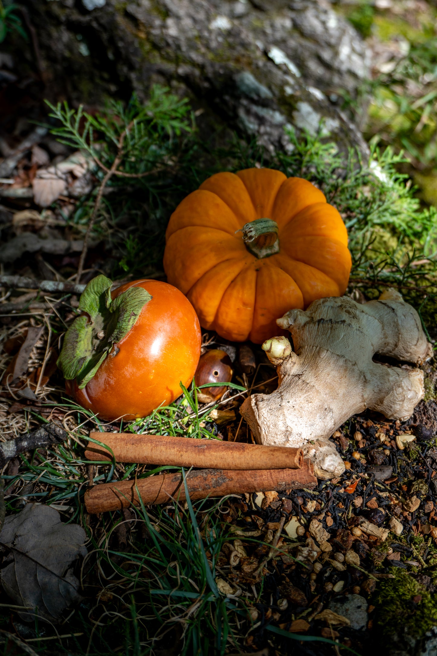The Trailblazer Blend Glass Jar of Loose Leaf Tea by Piper & Leaf Tea Co. evokes earthy aromas of pumpkin, persimmon, ginger, and cinnamon—scattered spices inspired by lush forests—perfect for 30 servings.