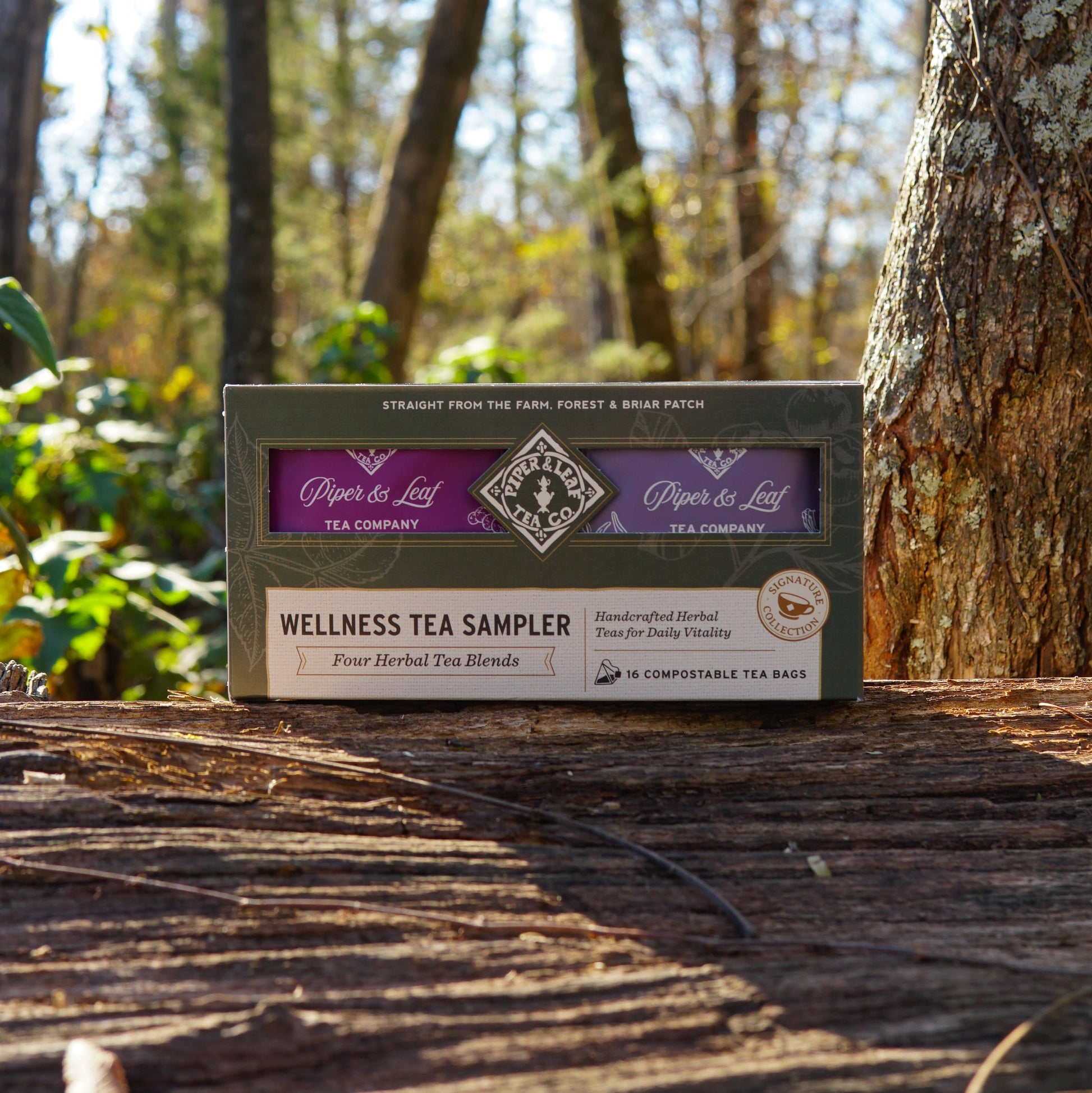 A box of Piper & Leaf Tea Co. Wellness Tea Sampler - Box of 16 Tea Bags sits on a wooden surface outdoors, surrounded by trees and sunlight.