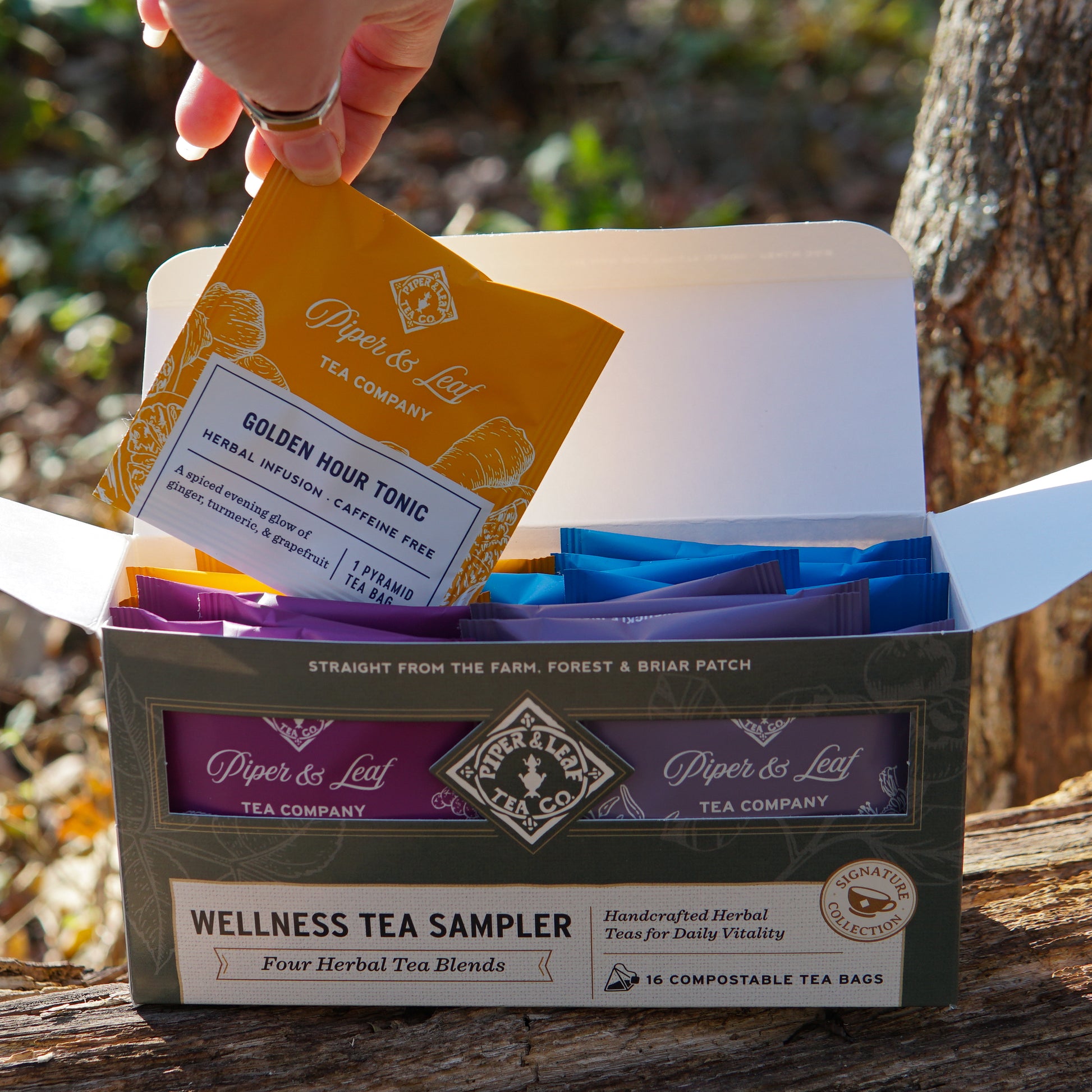 A hand holds a yellow caffeine-free tea bag above an open Piper & Leaf Tea Co. Wellness Tea Sampler - Box of 16 Tea Bags, filled with assorted herbal blends, outdoors.