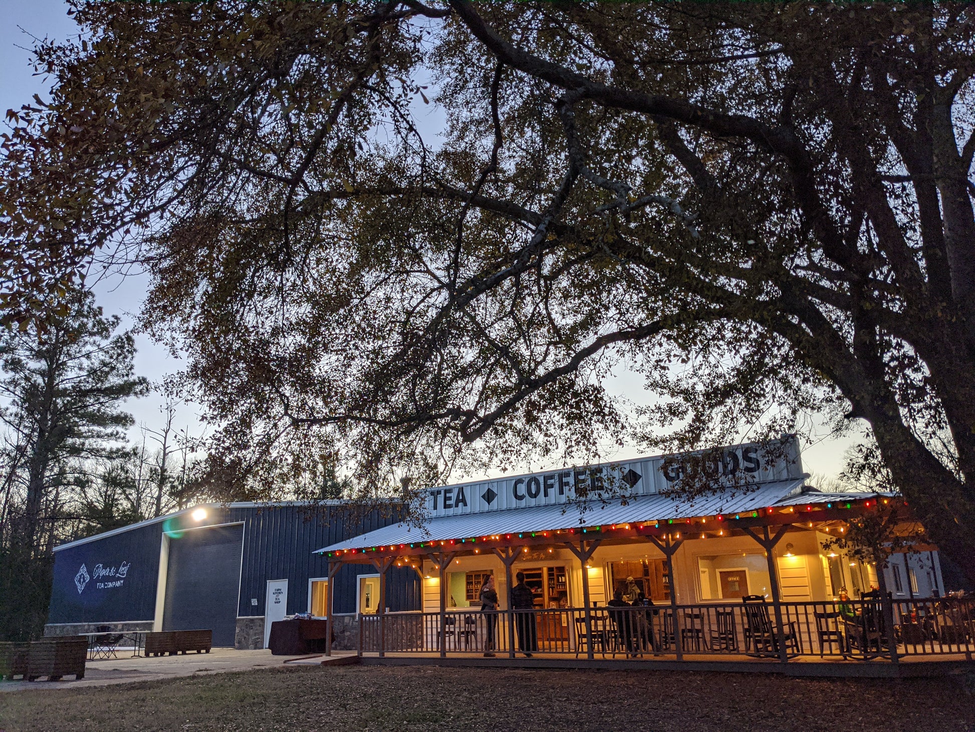A cozy coffee shop with a covered patio, string lights, and guests standing outside amid trees at dusk. A large tree frames the scene, inviting you to join Piper & Leaf Farm Tours by Piper and Leaf Tea Co. or pick up tickets for a tasting.