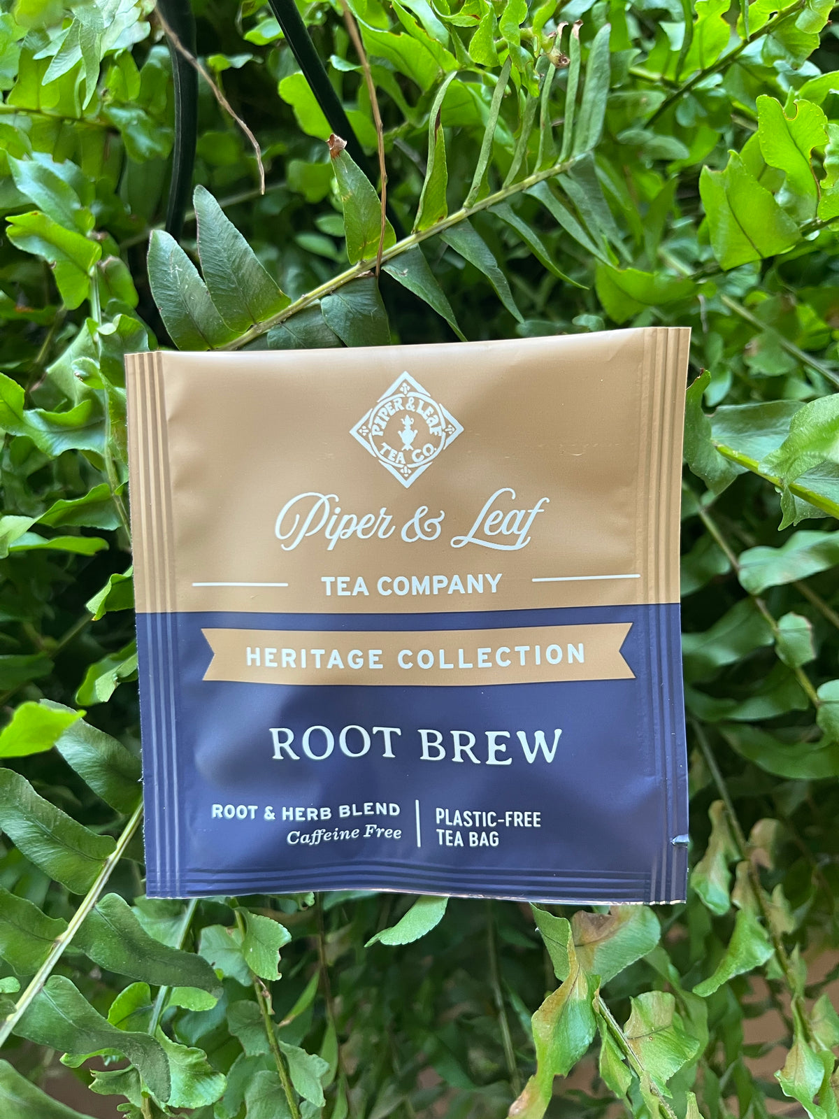 A Piper and Leaf Tea Co. Root Brew 50ct Individually Wrapped tea bag is shown hanging in front of green leaves; the bag highlights that this herbal tea is both caffeine-free and plastic-free.