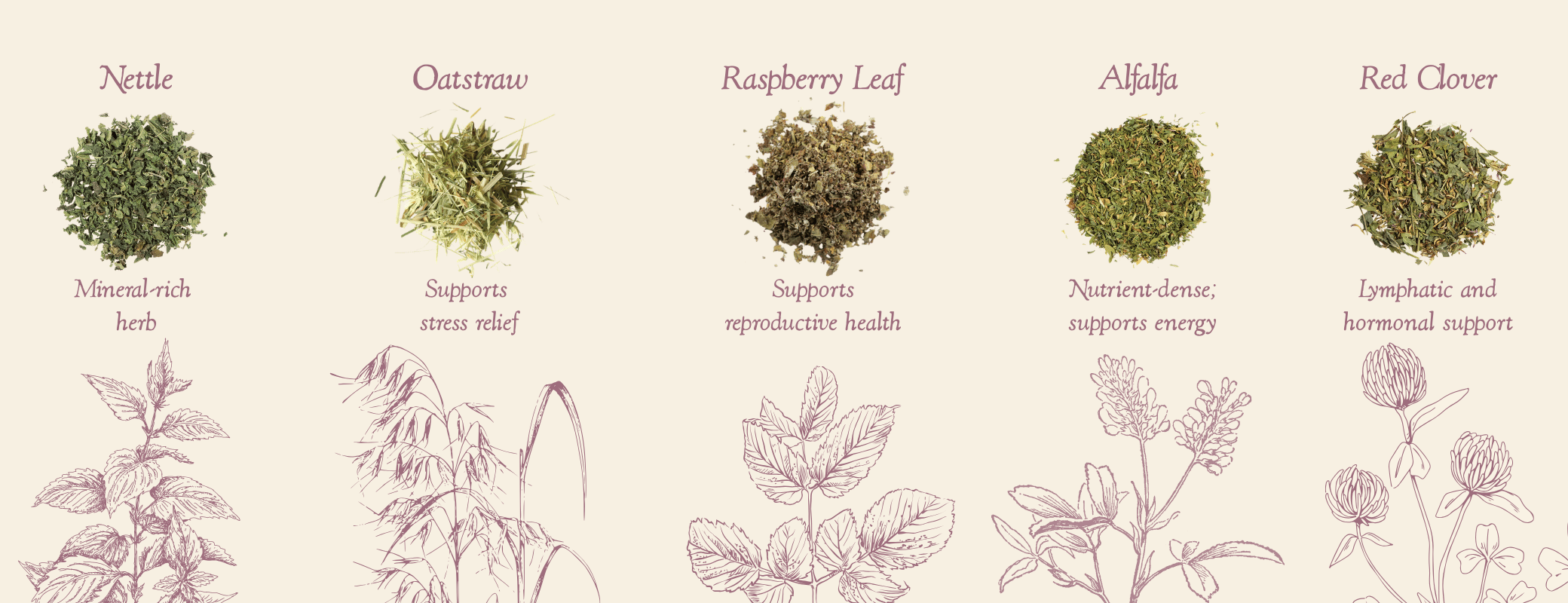 Women's NORA+ Ingredients - Nettles, Oatstraw, Raspberry Leaf, Alfalfa, Red Clover