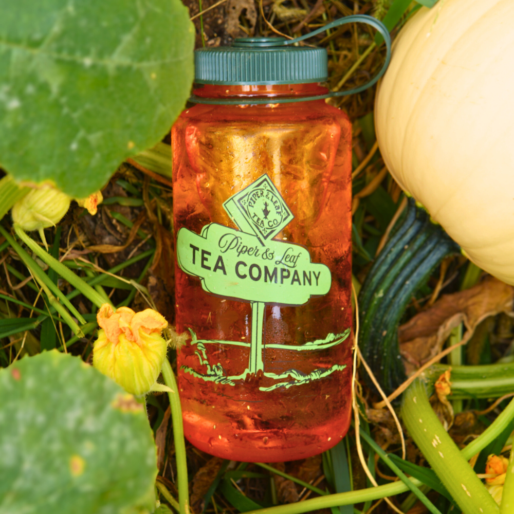 A red-orange, BPA-free Piper & Leaf Nalgene Water (Tea) Bottle: Road Sign with the "Piper & Leaf Tea Co." logo lies among green plants and a light-colored pumpkin, perfectly embodying fall Nalgenes.