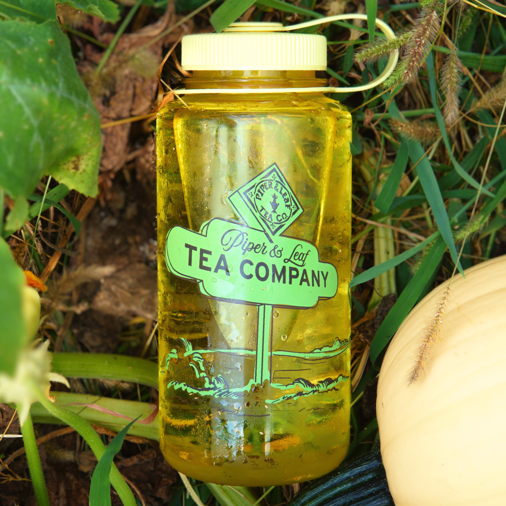 A 32oz Piper & Leaf Nalgene Water (Tea) Bottle: Road Sign, emblazoned with the Piper & Leaf Tea Co. logo, rests among green plants and a white pumpkin, capturing the essence of fall Nalgenes.