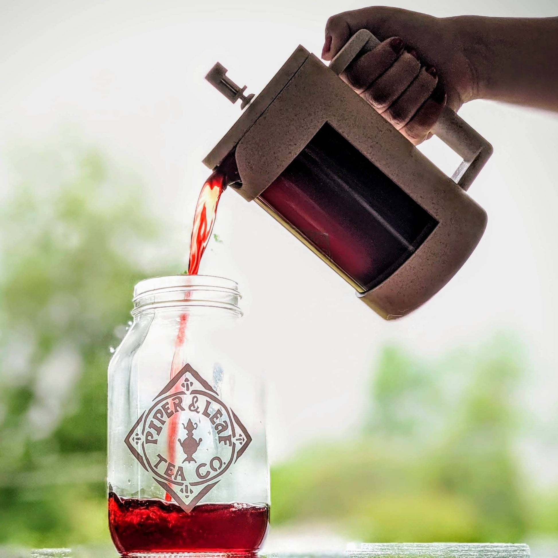 Pouring freshly brewed tea from a Piper Press into a Piper & Leaf quart jar