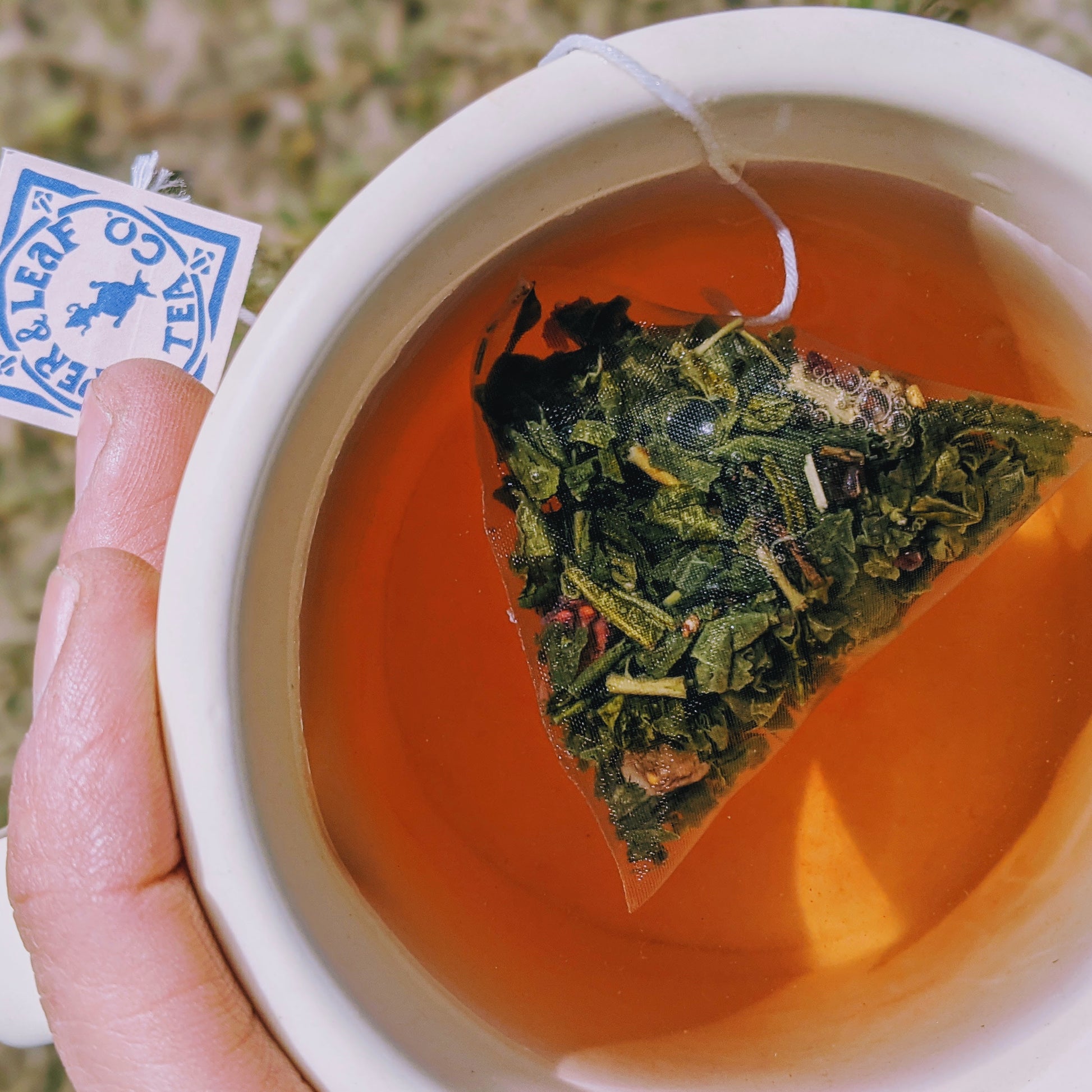 A person holding a cup of tea with a tag on it, enjoying a soothing sip of Piper & Leaf Tea Co.'s Sassyfras Strawberry 9ct Tea Bags in Muslin.